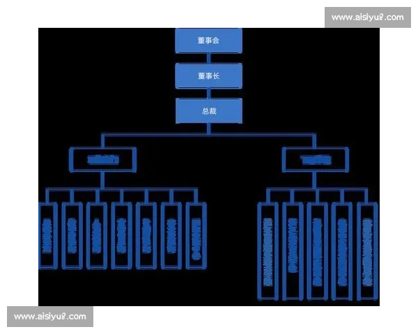 基于版本调整的优化策略与实施路径分析