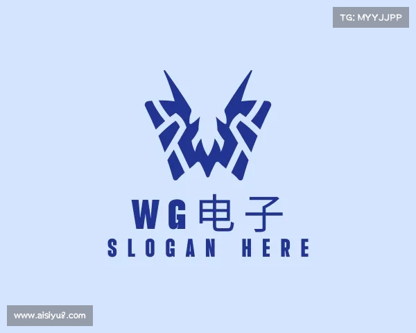 介绍WG电子